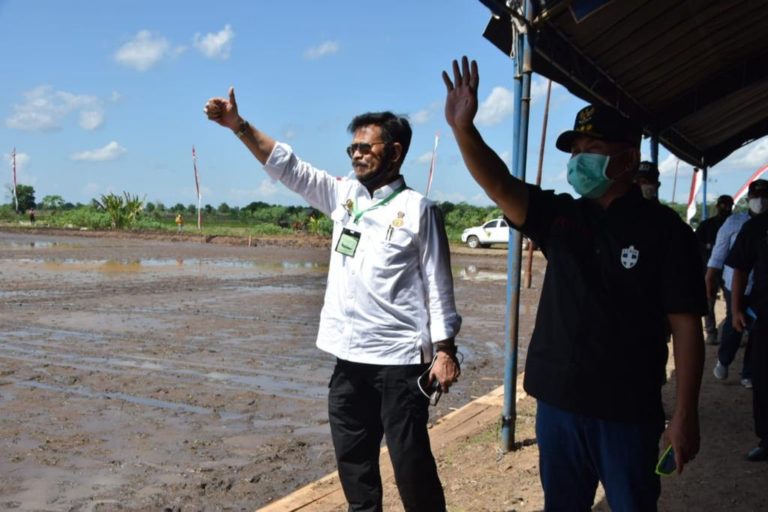 Tim Ahli Wapres Dukung Food Estate Pertanian di Kalteng