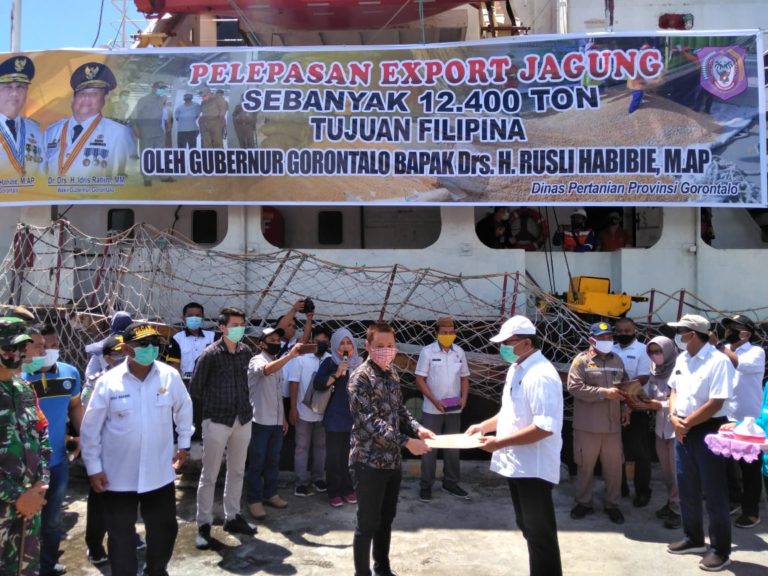 Gorontalo Ekspor Jagung Sebanyak 12.400 Ton ke Filipina