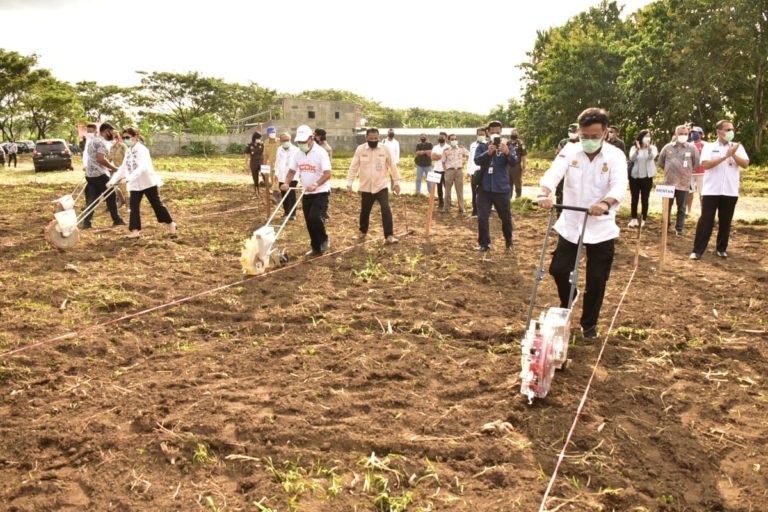 Kokohkan Pangan, Gubernur Sulut Pacu Percepatan Tanam Padi