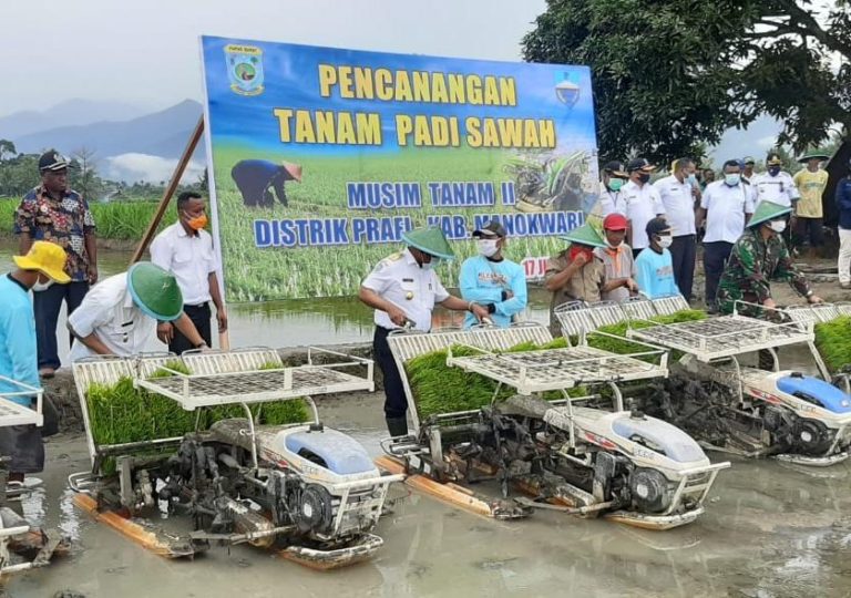 Gubernur Papua Barat Canangkan Gerakan Percepatan Tanam Padi