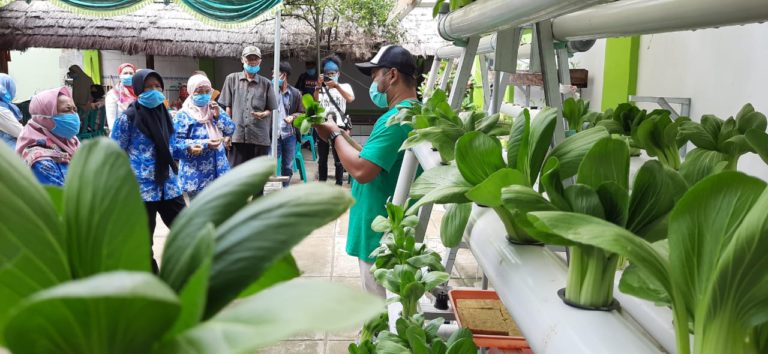 Jamkrindo Konsisten Fasilitasi Pelatihan untuk Masyarakat Ciletuh di Era New Normal