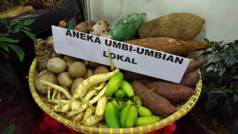 Antisipasi Krisis Pangan Pengembangan Pangan Lokal