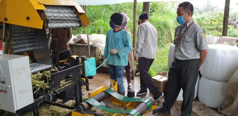 Kemandirian Pakan Ternak Penting di Tengah Pandemi Covid-19