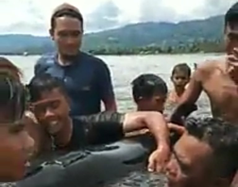 Viral, Paus Pembunuh Terdampar Dijadikan Objek Mainan Warga