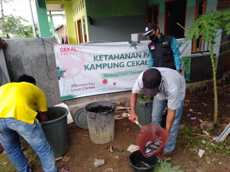 Ketahanan Pangan Berbuah Manis, Warga Kampung Ciwaru Panen Lele di Tengah Covid-19