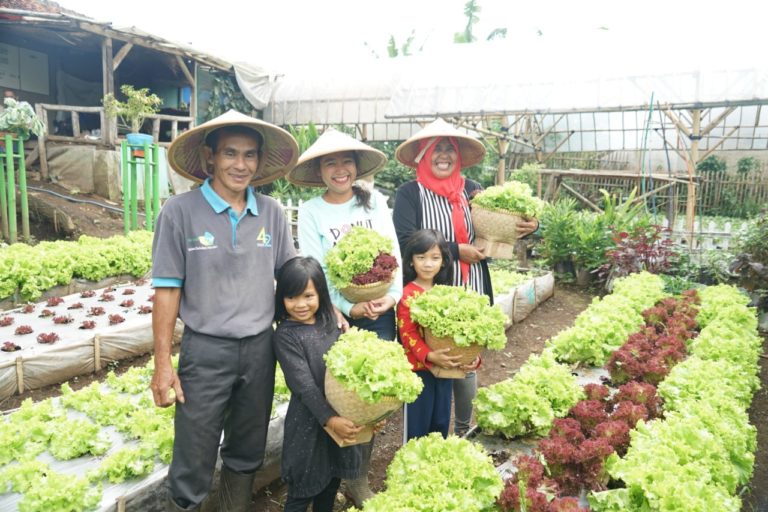 Komisi IV DPR RI Dorong Optimalisasi P2L