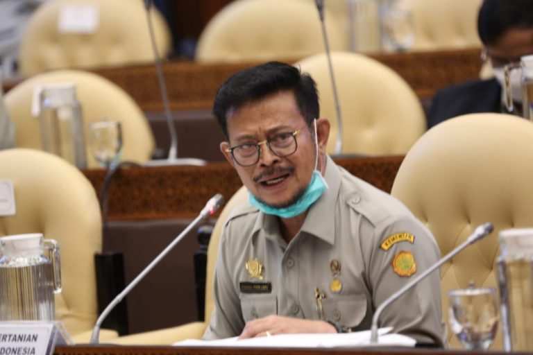 Kementan Konsisten Jaga Ketahanan Pangan Meski Anggaran Dipangkas