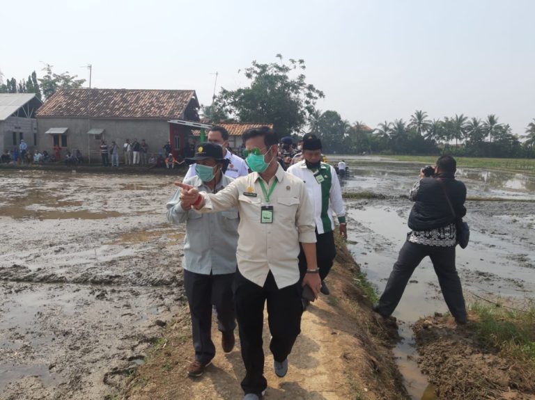 Kementan Garap Hulu Hingga Hilir Sektor Pertanian