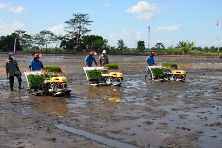 Akademisi Unlam dan UGM Dukung Pengembangan Food Estate Kalteng