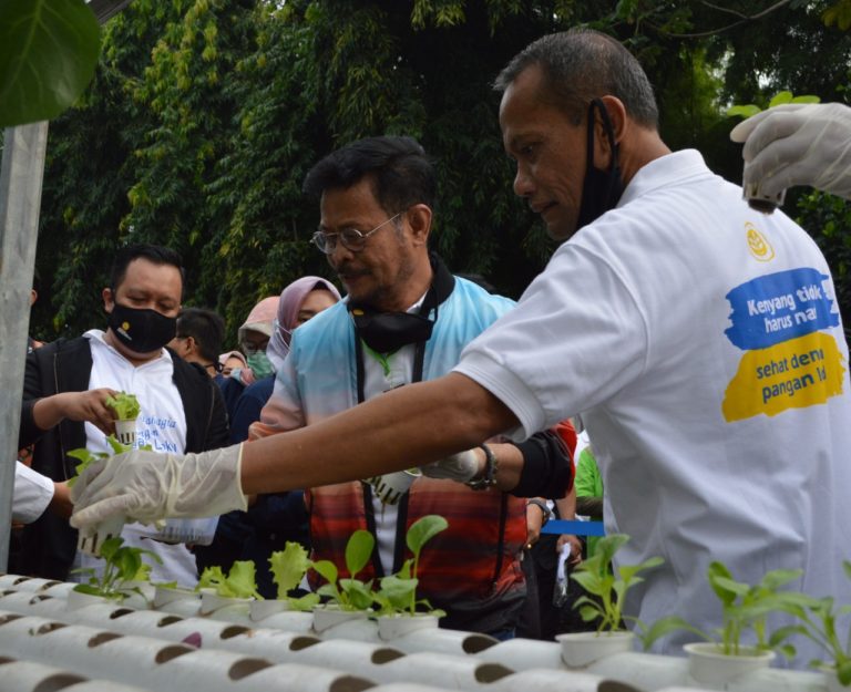 Mentan SYL Ajak Masyarakat Manfaatkan Pekarangan