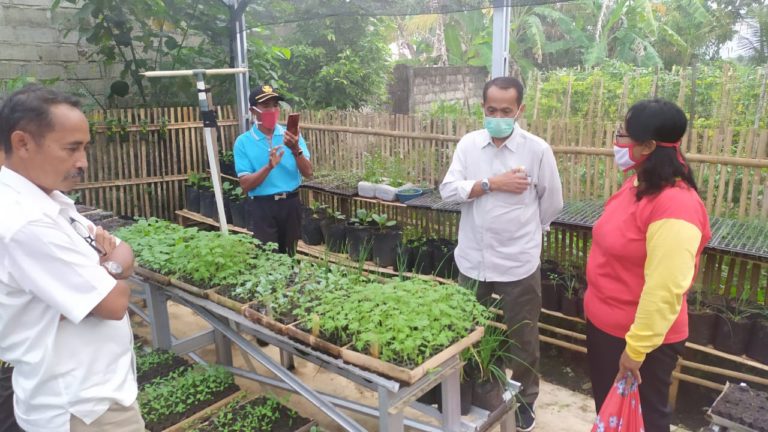 Kementan Ajak Masyarakat Manfaatkan Pekarangan untuk Stok Pangan Keluarga