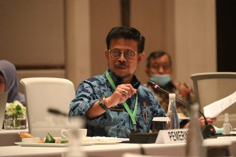 Ini Langkah Kementan dalam Menghadapi Dampak Pandemi