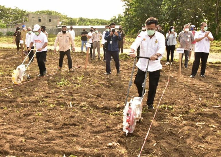 Tingkatkan Produksi, Gubernur Sulut Optimalkan Lahan Kering Tanam Padi Ladang