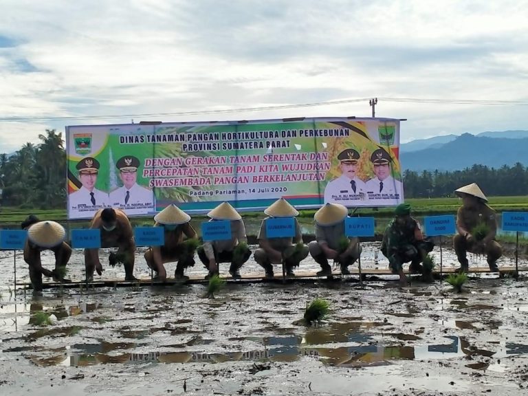 Kementan dan Gubernur Sumbar Lakukan Percepatan Tanam