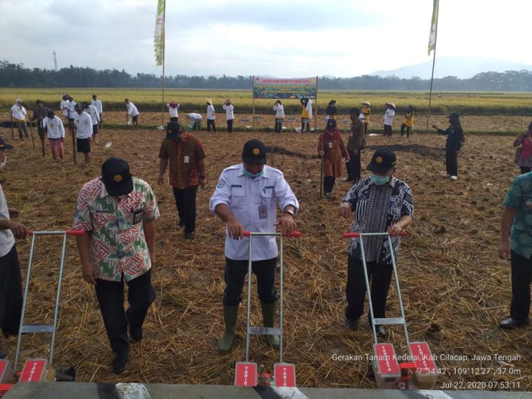 Lakukan Gerakan Tanam, Petani Cilacap Perluas Areal Tanam Kedelai