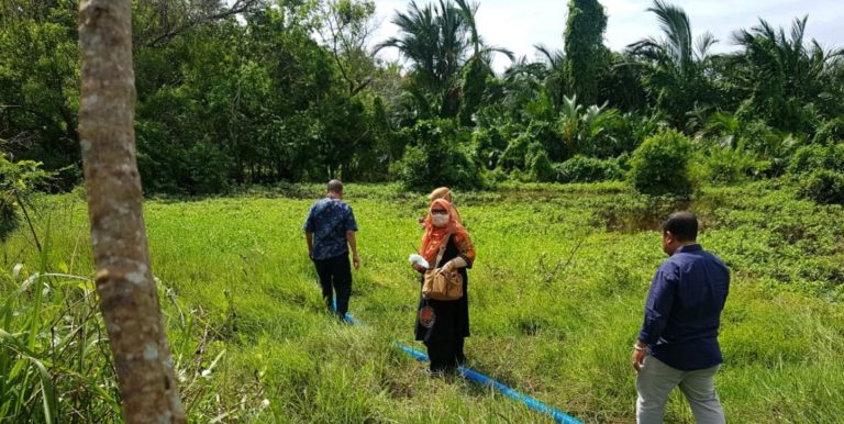 Begini Strategi Kementan Antisipasi Dampak Kemarau di Sumatera