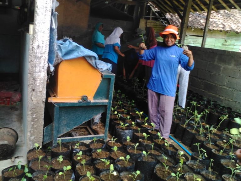 Masifkan Pertanian Ramah Lingkungan, Petani di Bantul Kembangkan APH
