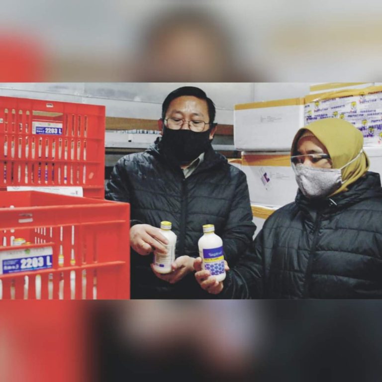 Pusvetma Kementan Ekspor Vaksin Septivet ke Timor Leste