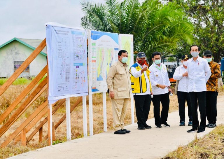 Jokowi intruksikan Mentan Persiapkan Kalimantan Tengah jadi Lumbung Pangan