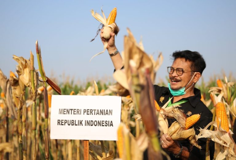 Gagas Depo Jagung, Bupati Dompu Jaga Stok Jagung Lokal