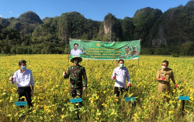 Bupati Maros: Perlu Varietas Unggul Baru untuk Kedelai