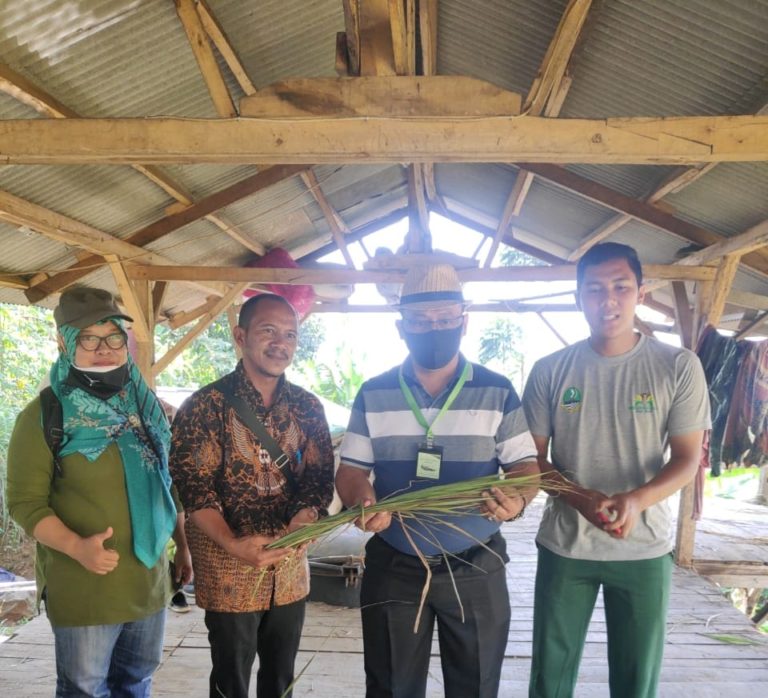 Kementan Siapkan Subang sebagai Sentra Serai Wangi
