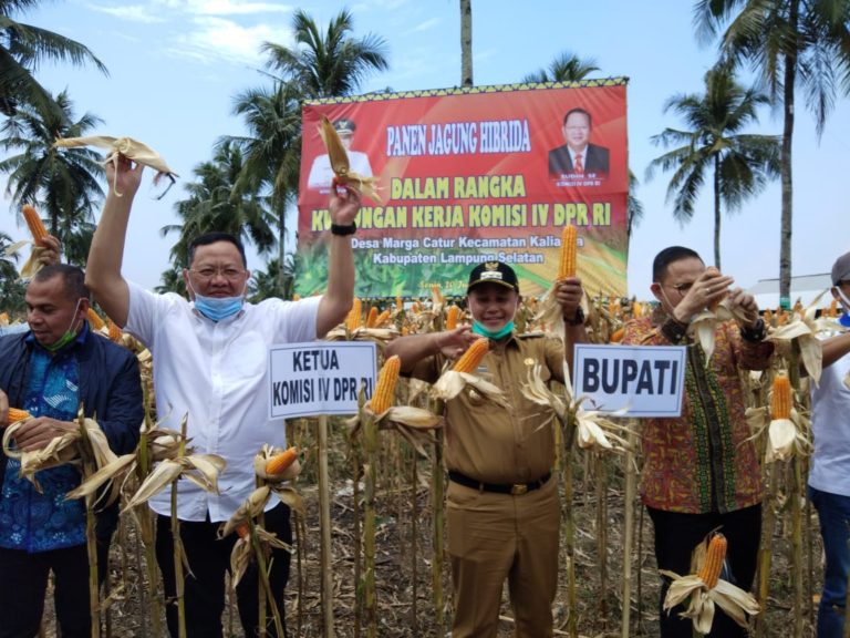 DPR Dukung Kementan Genjot Produksi Pertanian Provinsi Lampung
