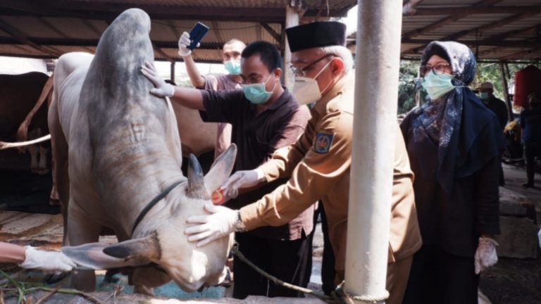 Lapak Hewan Kurban di Depok Diawasi Ketat, Begini Alasannya