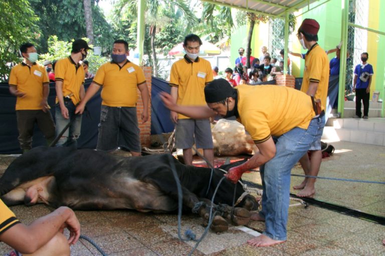 Mesjid Kementan Sembelih Hewan Qurban, 12 Sapi dan 5 Kambing