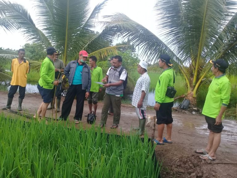 Amankan Produksi, Petani Kalbar Terapkan Pertanian Ramah Lingkungan