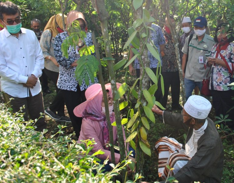 Bangkitkan Kembali ‘Emas Hijau’ dari Salatiga