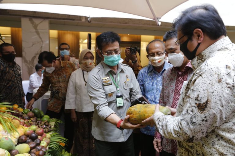 Kementan Fokus Budidaya Buah Nasional untuk Dongkrak Ekspor