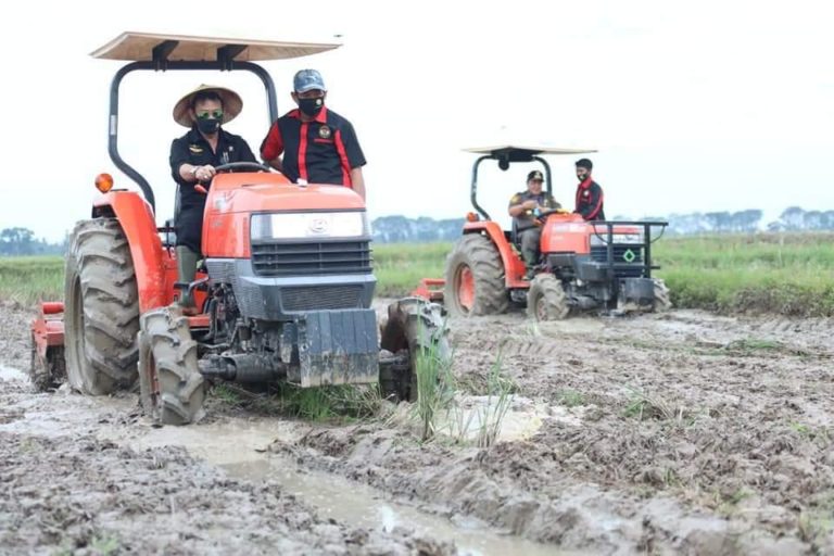 Akademisi: Jadikan Momentum Kemerdekaan RI untuk Kebangkitan Sektor Pertanian