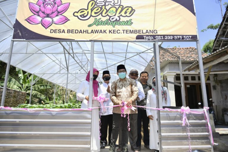 Mendes Resmikan Kampung Hidroponik Desa Bedahlawak