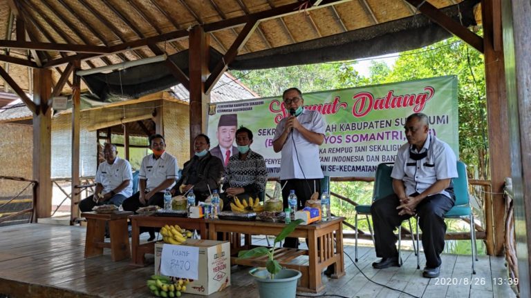 Sukabumi Targetkan Ekspor Pisang Bajo dalam Waktu Dekat