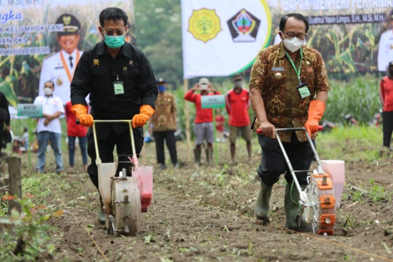 Datangi Kawasan Perhutanan Blitar, Mentan SYL Bersama Bupati Tanam Jagung