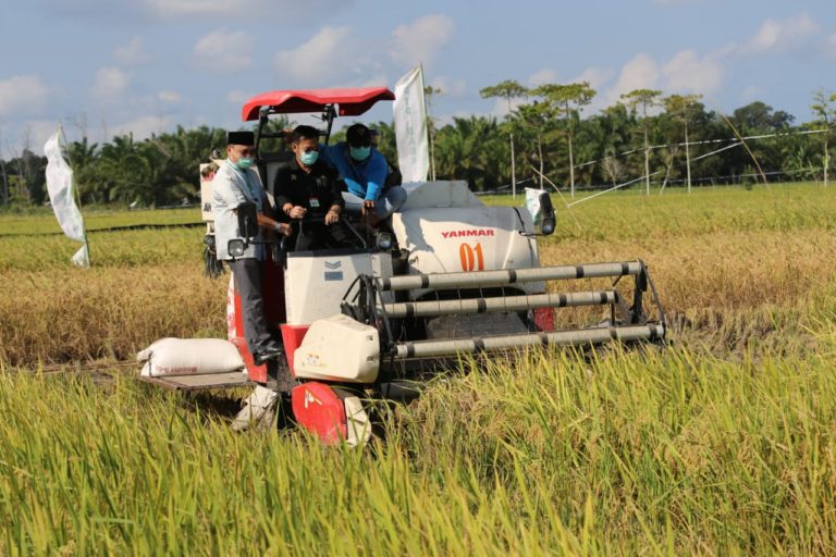 Rehab Jaringan Irigasi di Kecamatan Pundi Bantul Sukses Tingkatkan Indeks Pertanaman