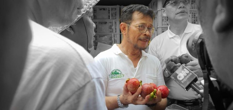Selama Pandemi, Permintaan Buah Lokal Melonjak Tajam