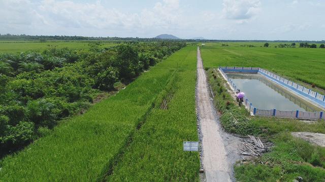 Dam Parit Kementan Bantu Perluas Sawah di Majalengka, Bertambah 10 Ha