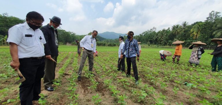 BKP Kementan Entaskan Rentan Pangan di Kabupaten Lebak