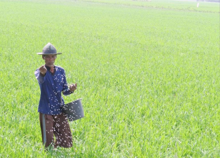 Bantu Petani, Stok Pupuk untuk Desember Dialokasi ke September