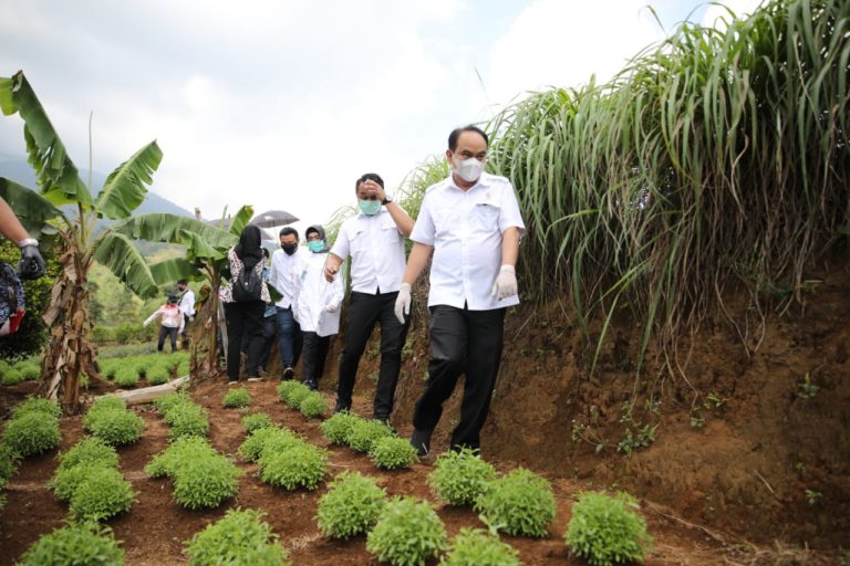 Tinjau Boja Farm Bogor, Wamendes Harap Pertanian Organik Sejahterakan Petani