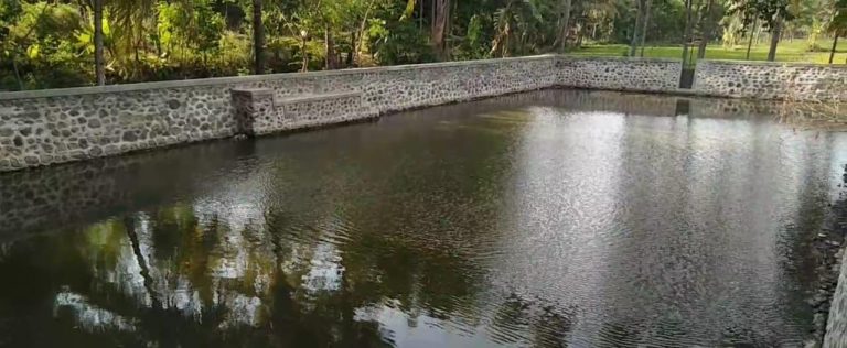 Embung di Situbondo Juga Dimanfaatkan untuk Tanaman Organik