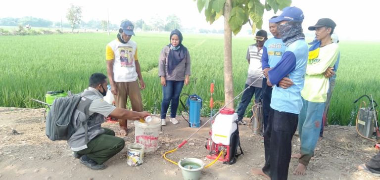 Kementan Gencar Lakukan Pengendalian WBC di Jawa Barat