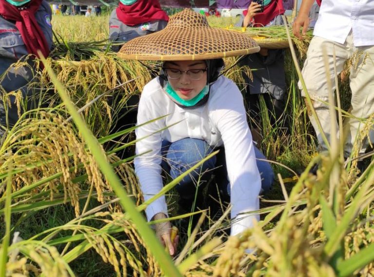 Hari Tani Nasional 2020, Bupati Purwakarta Apresiasi Terobosan Kementan