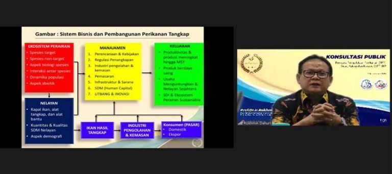 Pengelolaan Perikanan Sidat, Kakap dan Kerapu di Indonesia Butuh Aturan Khusus