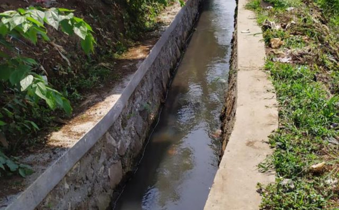 RJIT Ditjen PSP Mampu Tingkatkan Luas Oncoran di Cianjur