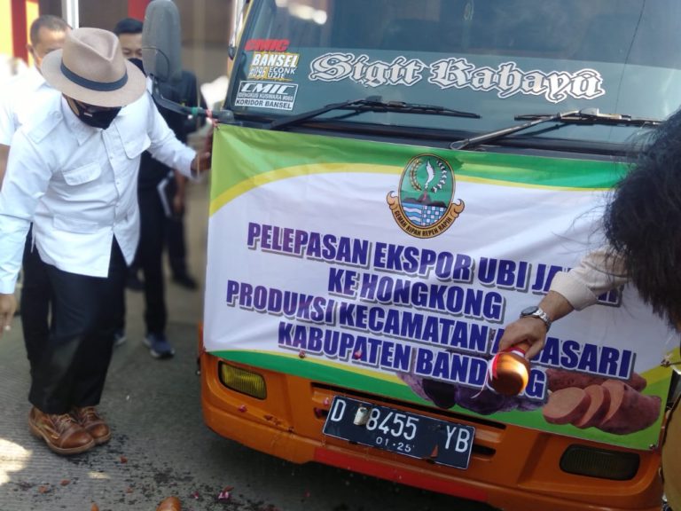 Ridwan Kamil Lepas Ekspor 30 ton Ubi Jalar ke Hongkong