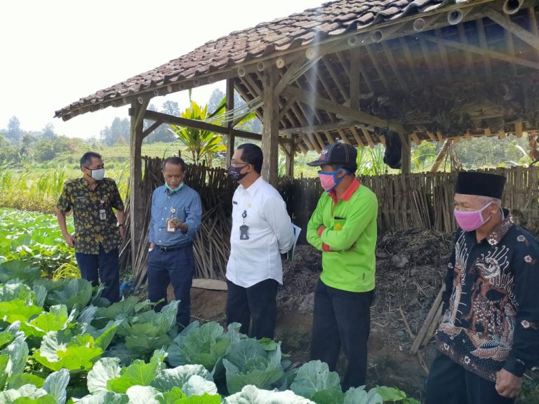 Kementan Fokus Tingkatkan Kesejahteraan Masyarakat