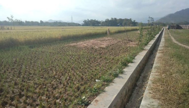 Dengan RJIT, Lahan Seluas 50 Ha di Trenggalek Terairi